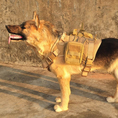 Dogout Tactical Dog Harness - Gear Up Industries